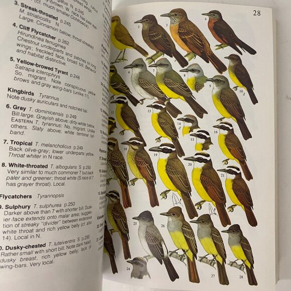 Schauensee & Phelps  A Guide to the Birds of Venezuela paperback 1978 Princeton - Picture 7 of 7